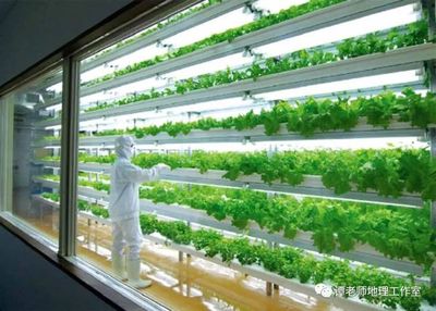 【地理拓展】植物工厂是个什么鬼?我国全球第二,关于植物工厂你需要掌握的地理知识